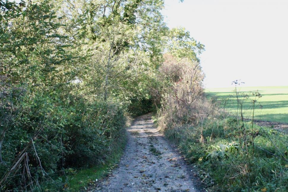 Mat's Salibury Plain blast - 14.jpeg