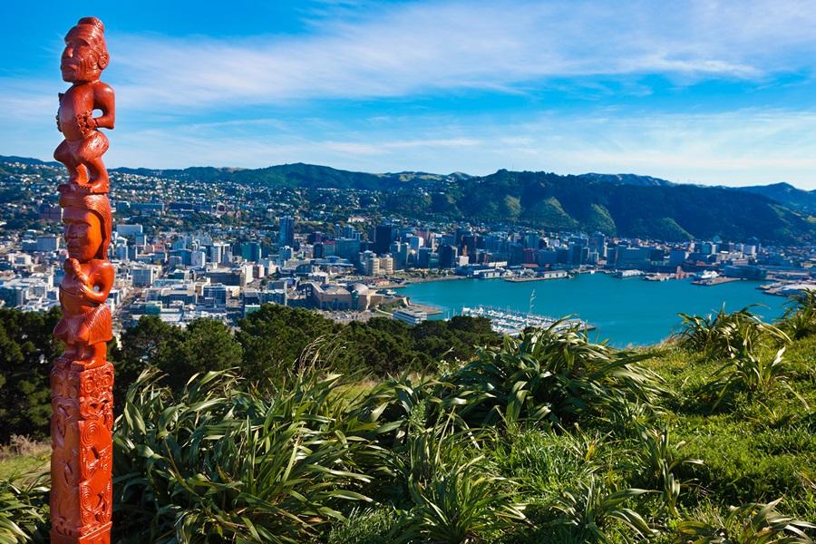 Mount Victoria, Wellington Town Belt, New Zealand