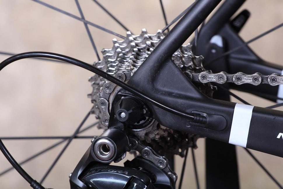 Neil Pryde Bura SL - rear dropout.jpg