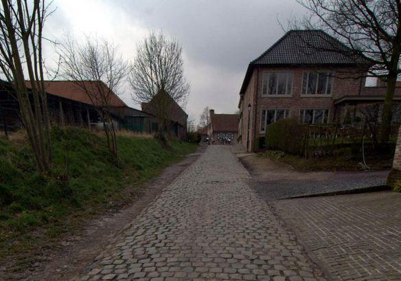 Oude Kwaremont cobbles