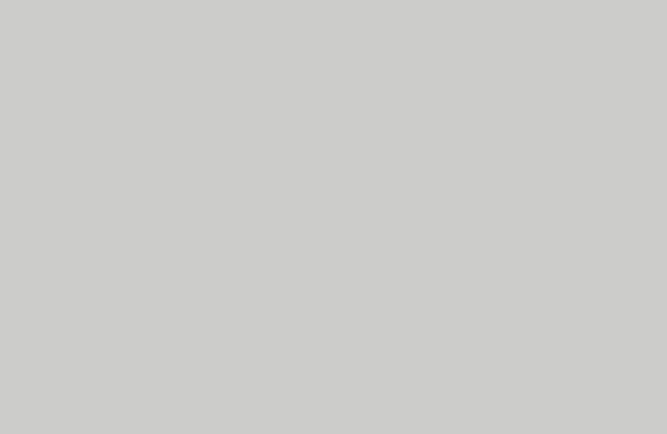 Pale Slate Grey