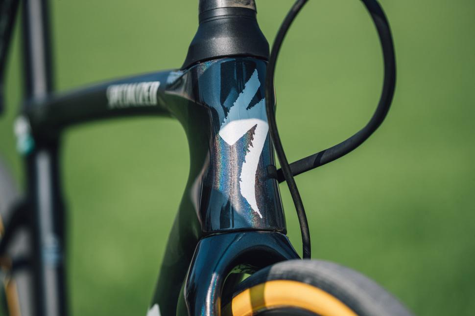 peter sagan specialized roubaix8.jpg