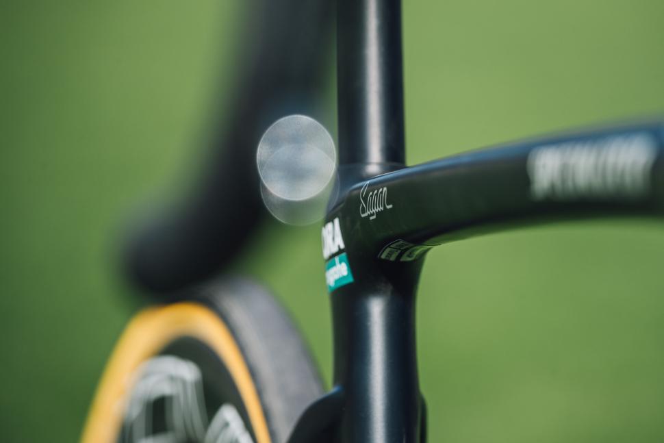 peter sagan specialized roubaix9.jpg