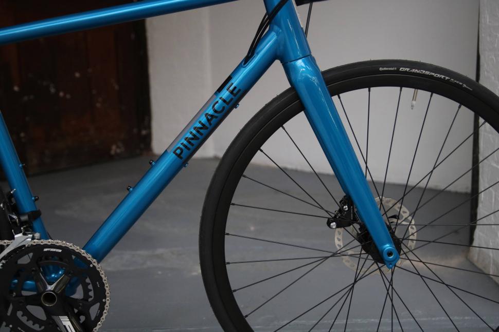 Pinnacle Dolomite 5 2017 2.jpg
