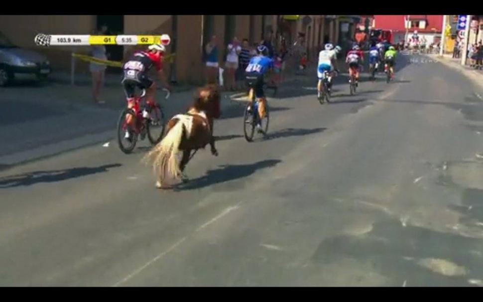 Pony joins in at the Tour of Poland.jpg