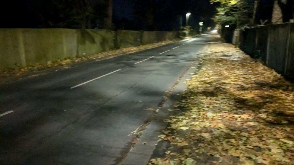 Bike lane covered with wet leaves, Priory Lane, Richmond (@CurlyAdventurer on Twitter)