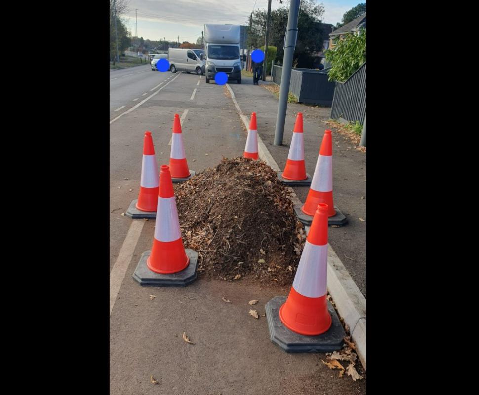 Protected leaves on a cycle lane in Wimborne (credit - Kester James Hewett)