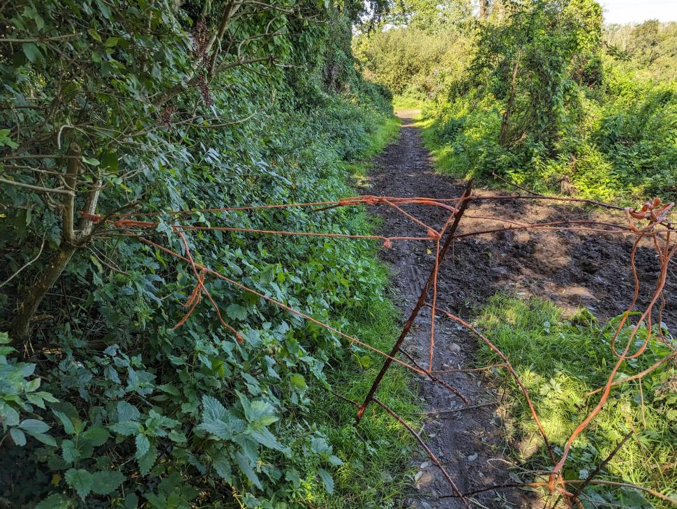 Rope and bramble trap on Knowl Hill Bridleway (John A, Twitter)