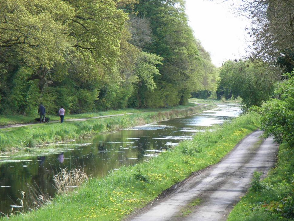 Royal Canal, Westmeath