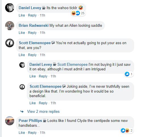 saddle comments 1.PNG