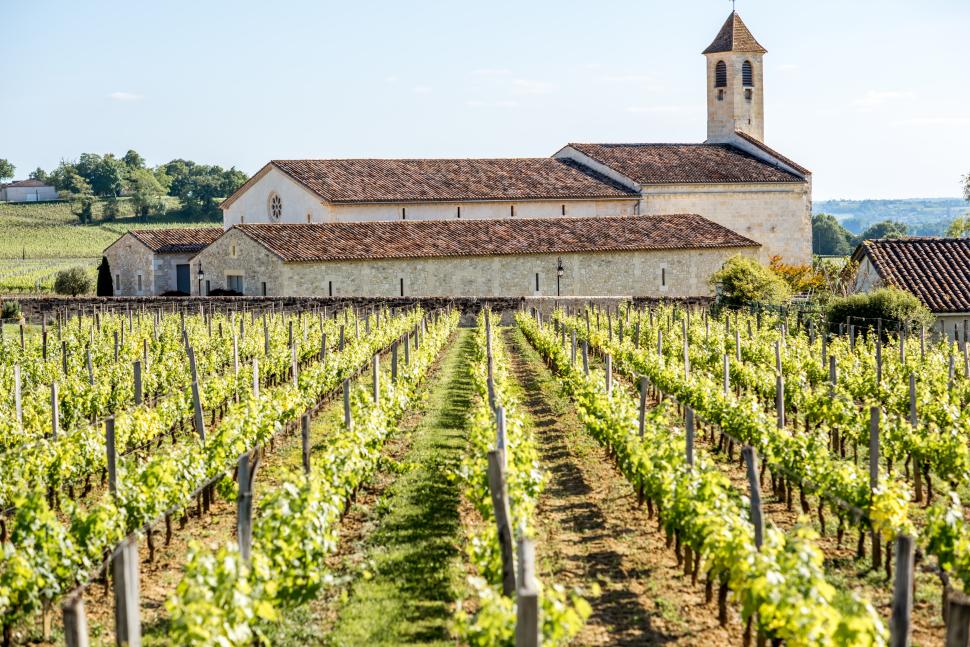 Saint Emilion vineyards