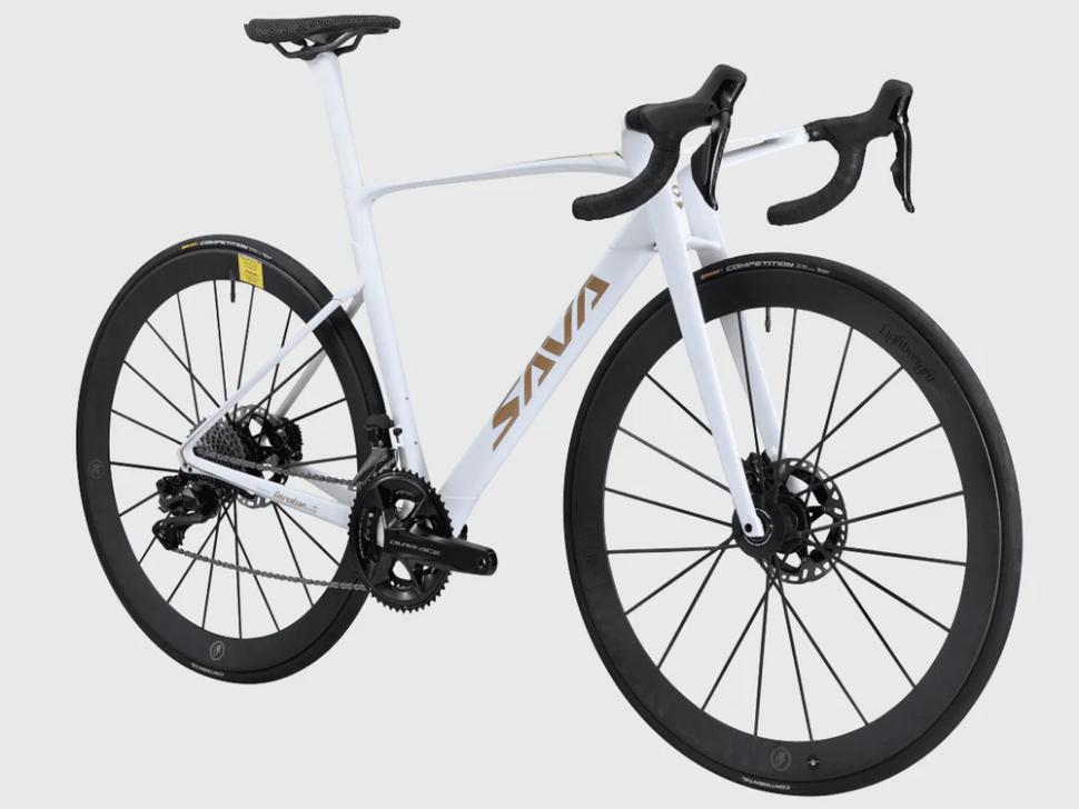 Sava Stjarn carbon roadbike funky fork 2