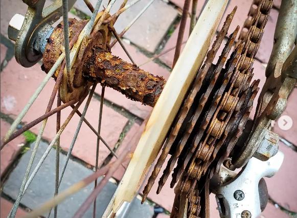 Rusty bike (@trench_tales/Instagram)