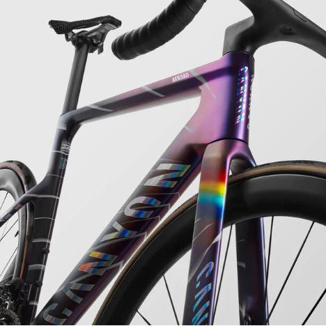 Canyon MACH874 paintjob