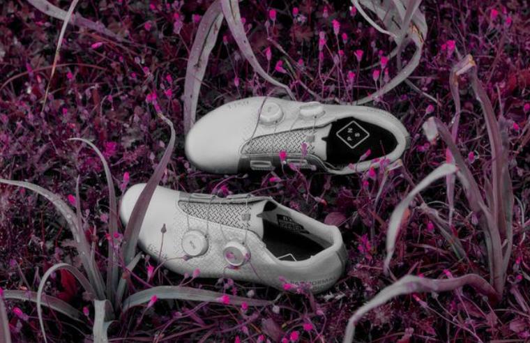 PNS fizik mechanism road shoe