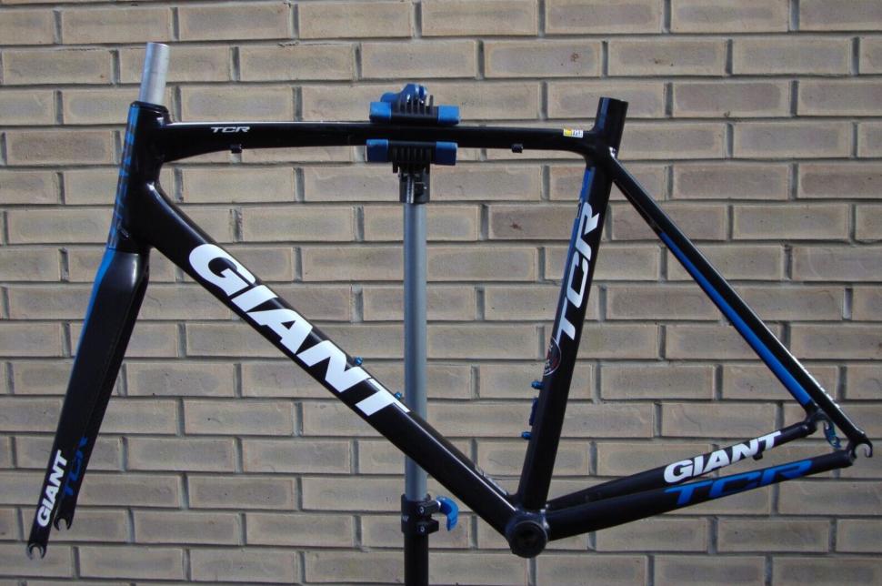 Giant TCR 1 frame