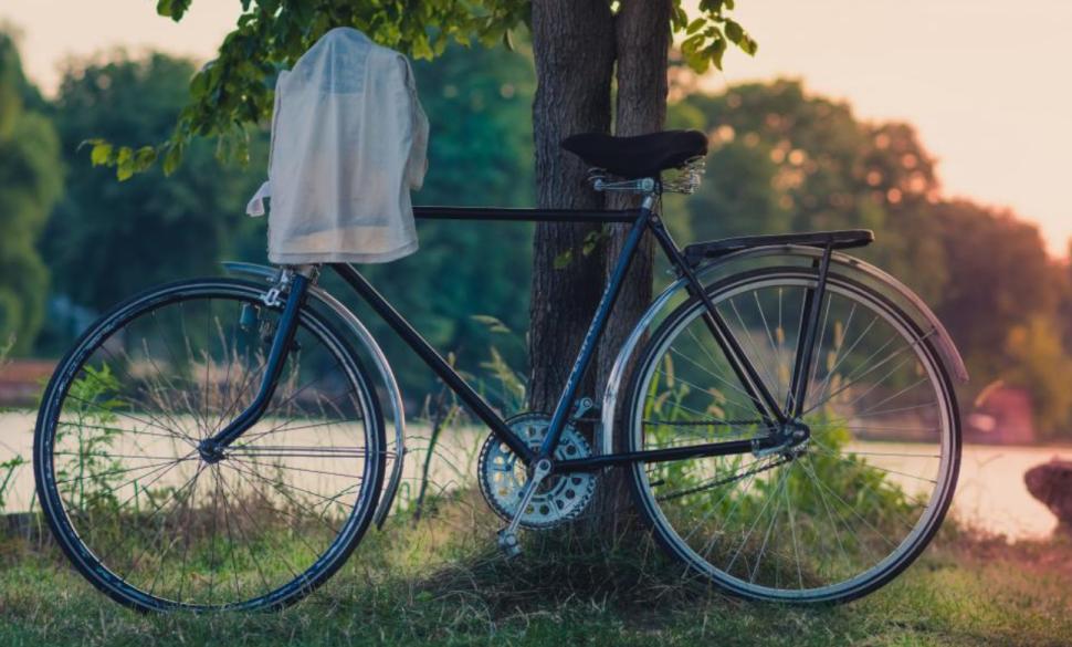 Bike and tree
