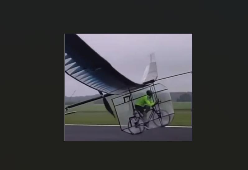 Bird-plane (screenshot JRat Customs/@_jrat)