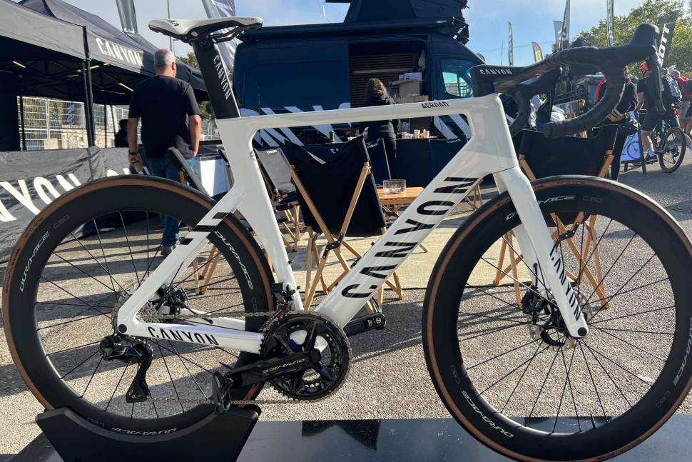 Sea Otter highlights 2023 - 2.jpg