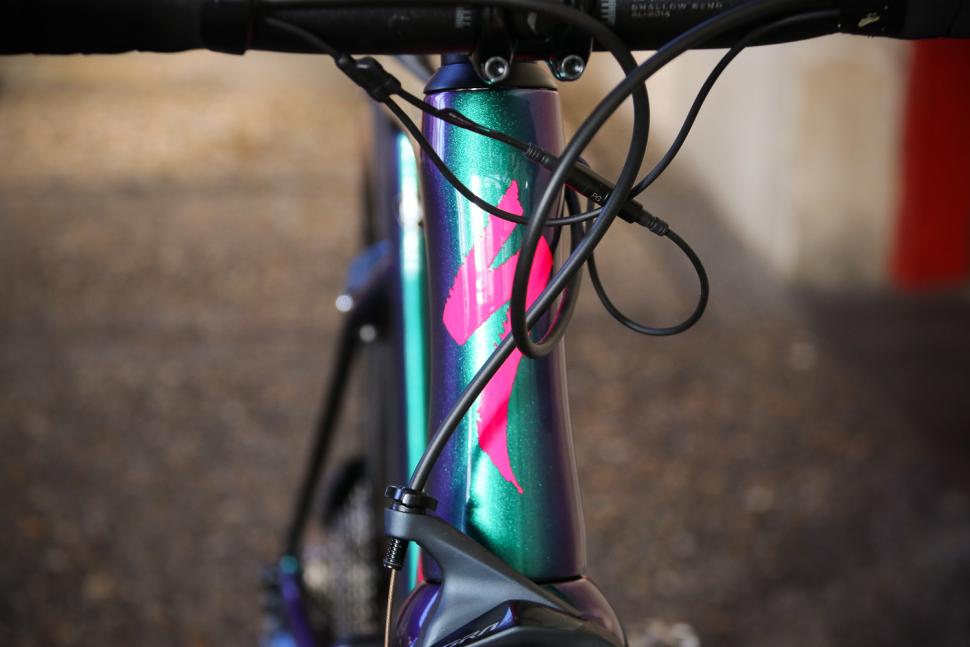 Specialized Tarmac SL 6 Pro - head tube badge.jpg