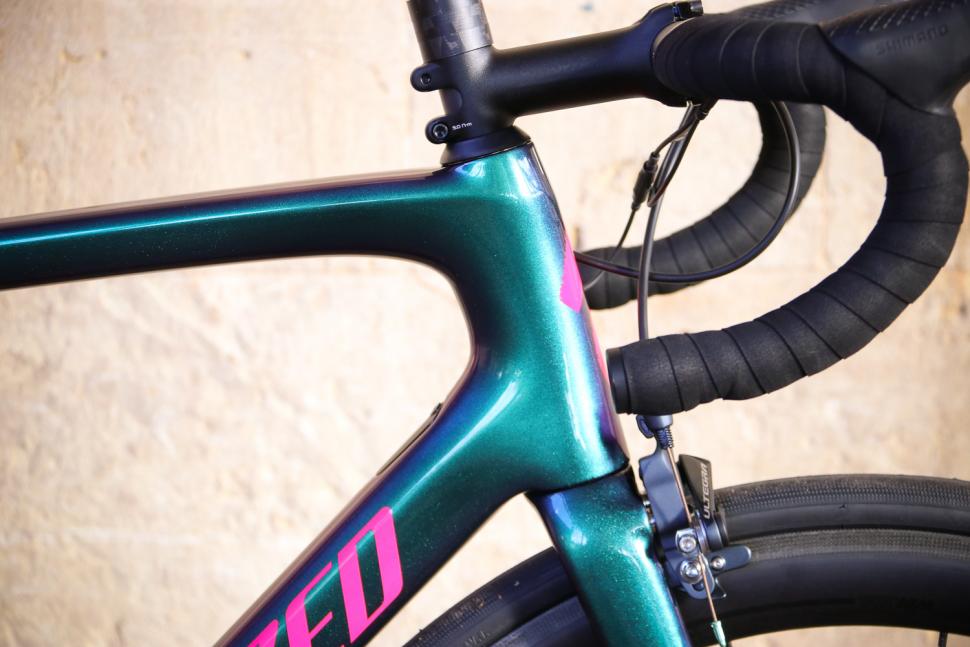 Specialized Tarmac SL 6 Pro - head tube.jpg