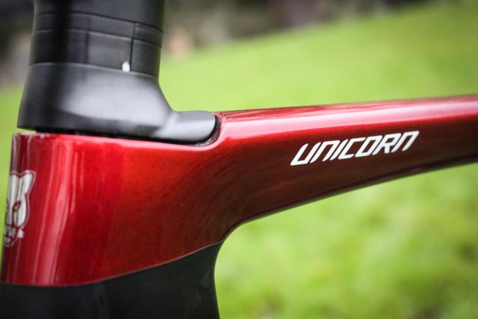SpeedX Unicorn Di2 - head tube detail.jpg