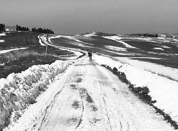 Strade Bianche recon (via Twitter).jpg