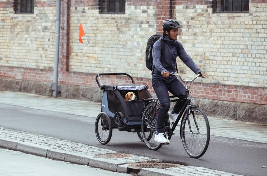 Thule dog trailer