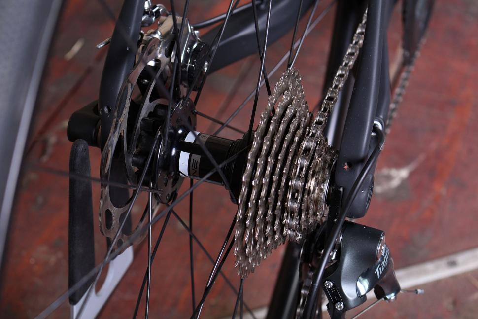 Tifosi Cavazzo - rear hub and cassette.jpg