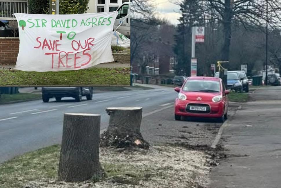 Trees cut down for Coventry cycle lane on Clifford Bridge Road