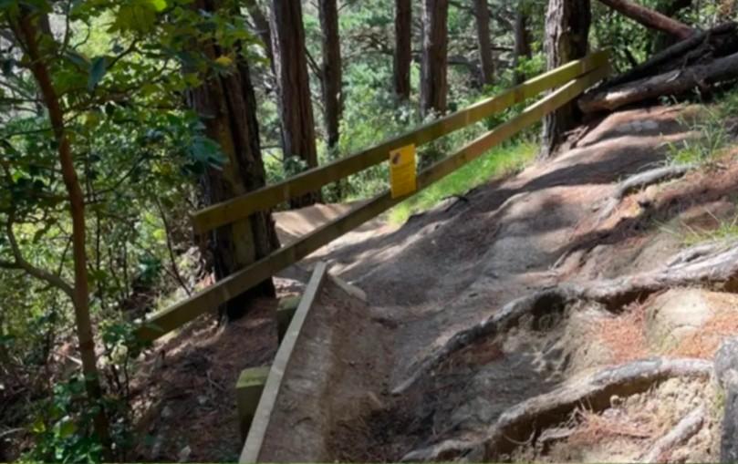 Vandalism on a mountain bike trail on Mount Victoria Town Belt, Wellington, New Zealand