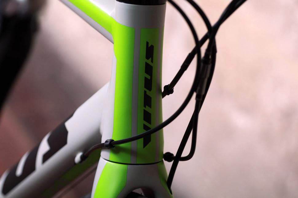 Vitus Zenium - head tube badge.jpg
