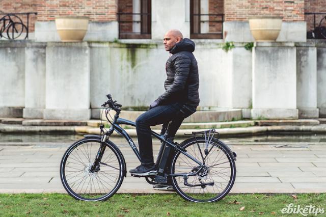 volt marvin rees 2019