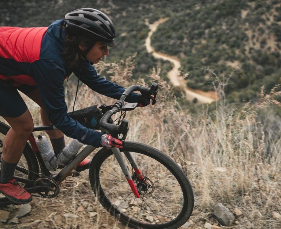 wahoo elemnt roam 3