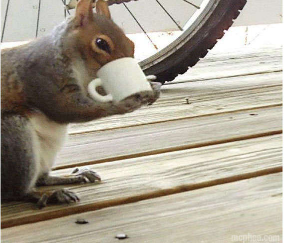 https://cdn.road.cc/wp-content/uploads/roadcc/tiny-coffee-mug.jpeg