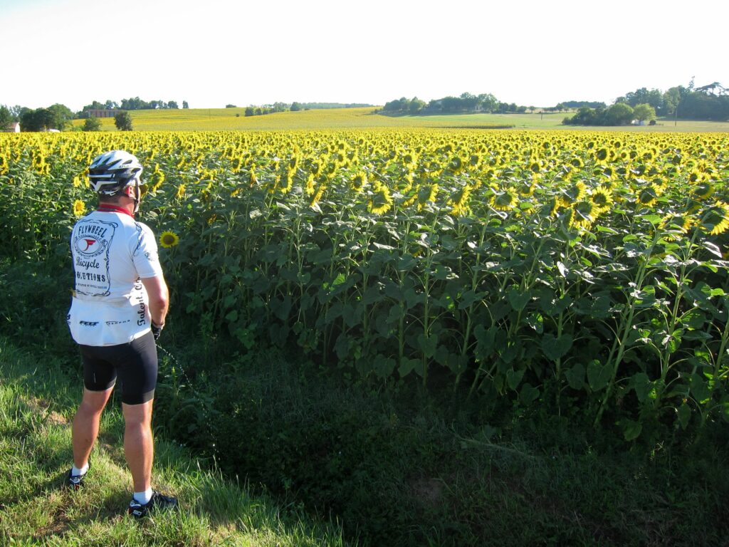 Tour De Force Pt 1 – Sunflower Piss