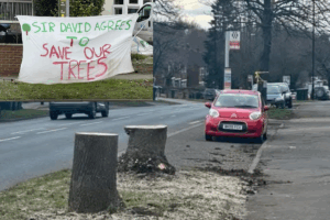 Trees cut down for Coventry cycle lane on Clifford Bridge Road