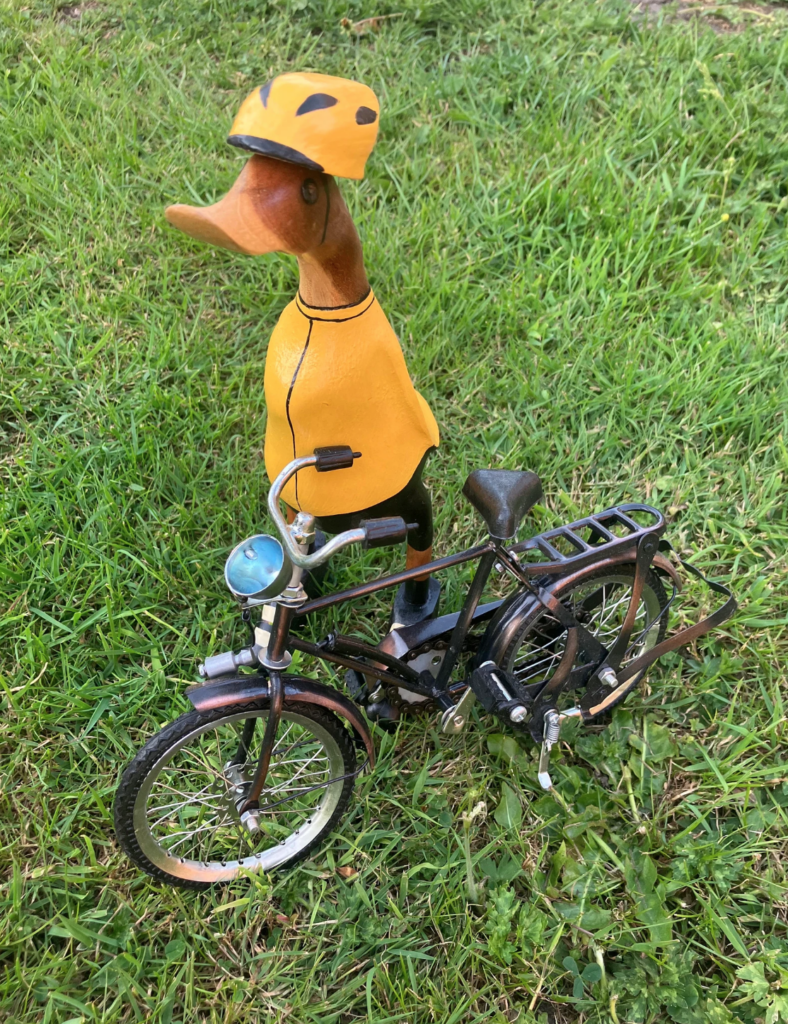 Wooden Yellow Jersey Duck